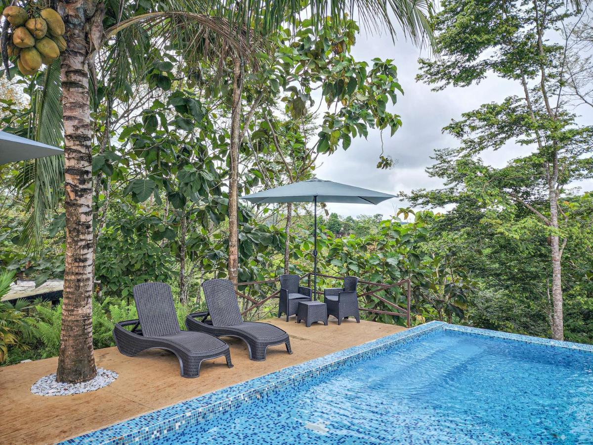 Hotel Madeira Boutique Doradal Ngoại thất bức ảnh