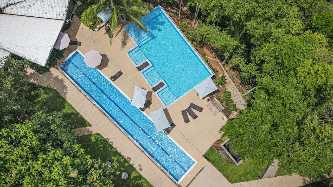 Hotel Madeira Boutique Doradal Ngoại thất bức ảnh